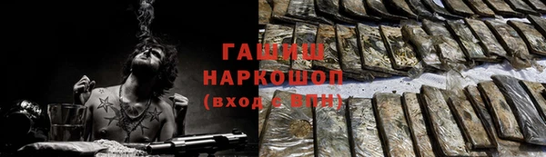 гидра Бородино