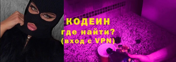 гидра Бородино