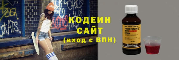 гидра Бородино