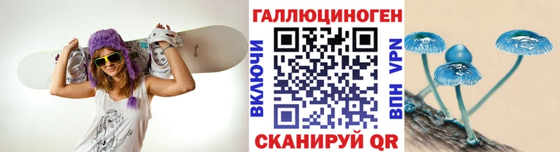 Галлюциногенные грибы Psilocybe  Кологрив 